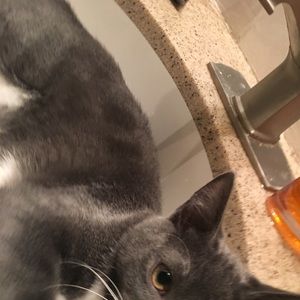 Meet your Posher, Jasmine